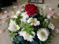 ein Bild aus dem Album