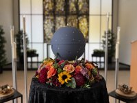 ein Bild aus dem Album