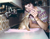 ein Bild aus dem Album