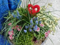 ein Bild aus dem Album