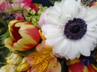 ein Bild aus dem Album